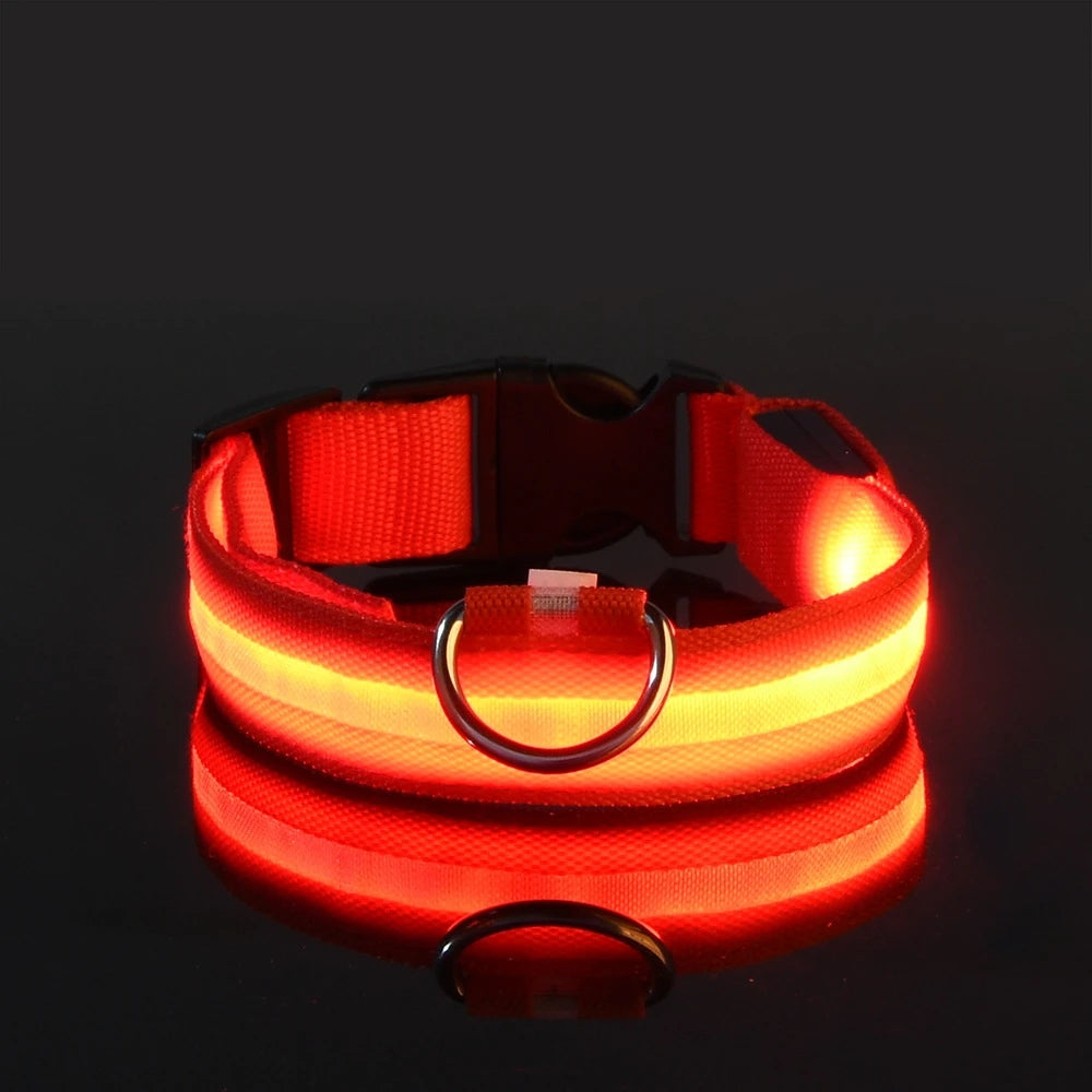 LED Safety Dog Collar — Glow in the Dark for Night Walks