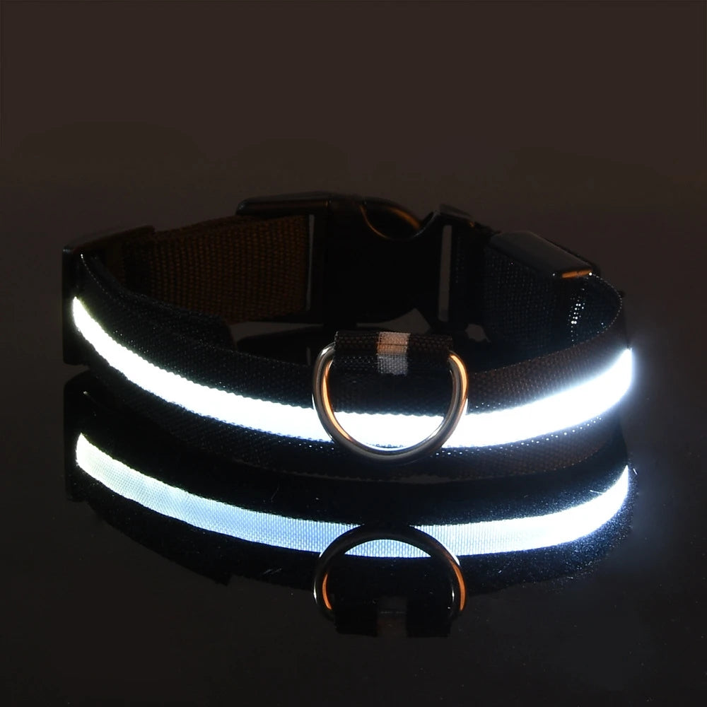 LED Safety Dog Collar — Glow in the Dark for Night Walks
