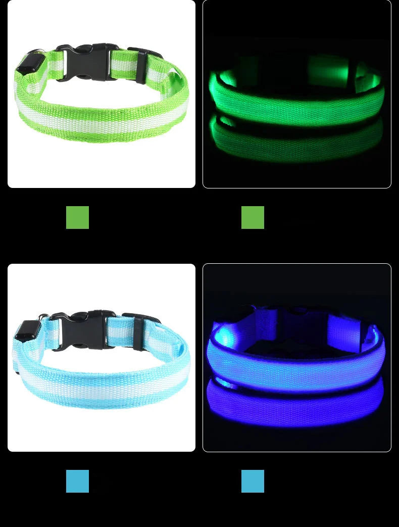 LED Safety Dog Collar — Glow in the Dark for Night Walks