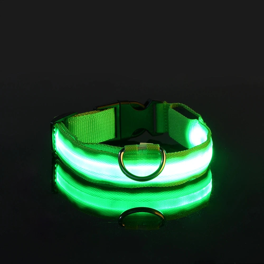 LED Safety Dog Collar — Glow in the Dark for Night Walks