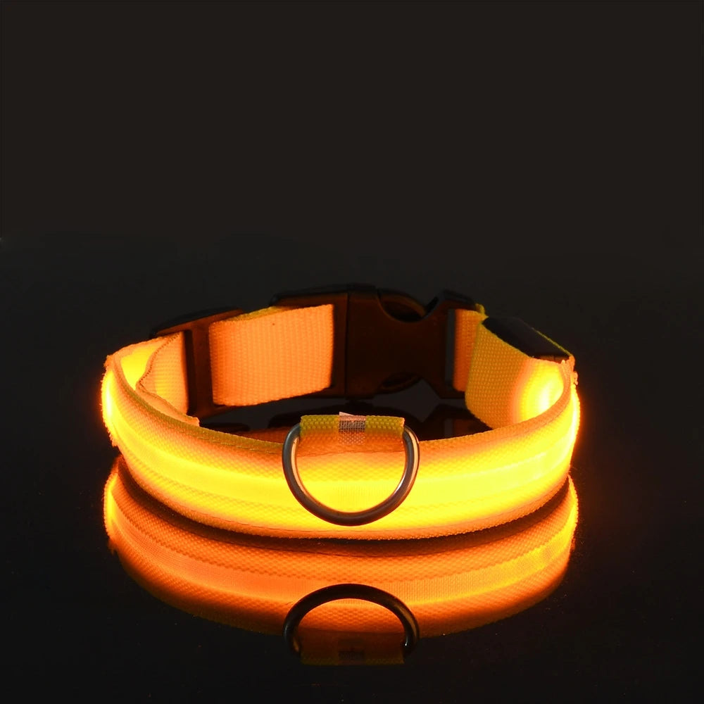 LED Safety Dog Collar — Glow in the Dark for Night Walks