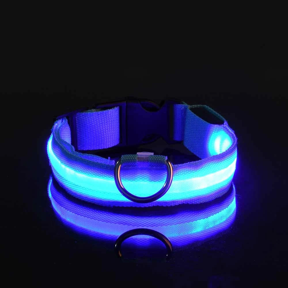 LED Safety Dog Collar — Glow in the Dark for Night Walks