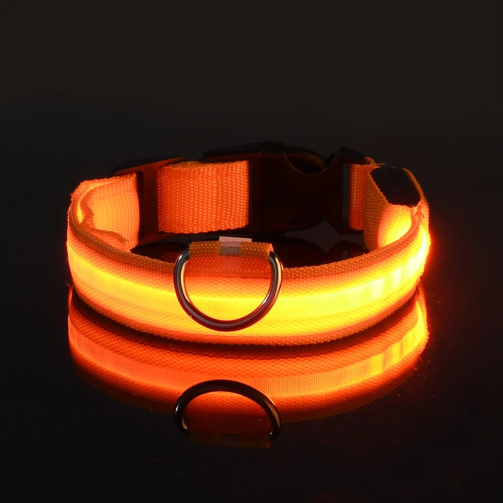 LED Safety Dog Collar — Glow in the Dark for Night Walks