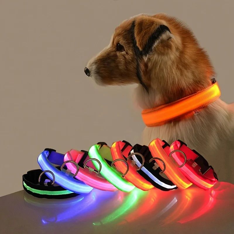 LED Safety Dog Collar — Glow in the Dark for Night Walks
