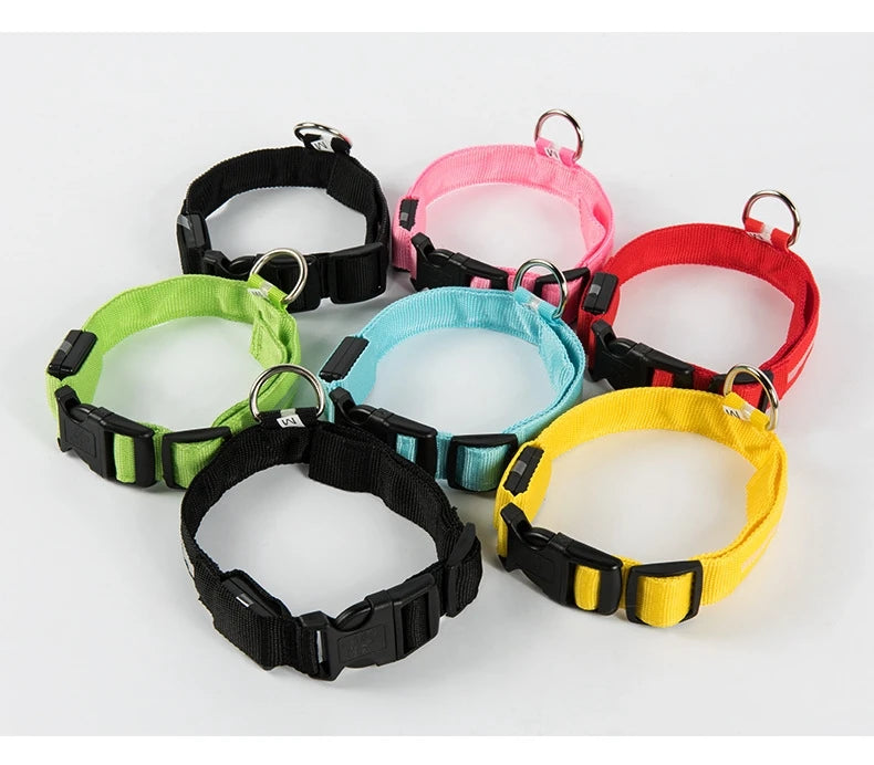 LED Safety Dog Collar — Glow in the Dark for Night Walks