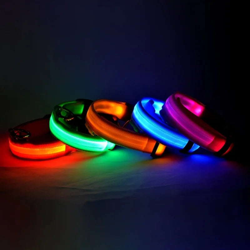 LED Safety Dog Collar — Glow in the Dark for Night Walks
