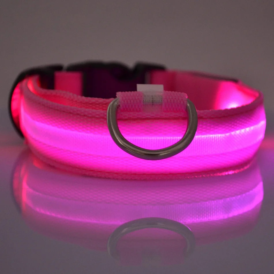 LED Safety Dog Collar — Glow in the Dark for Night Walks