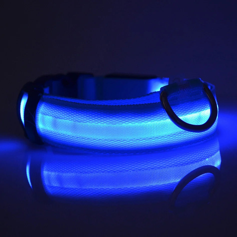 LED Safety Dog Collar — Glow in the Dark for Night Walks