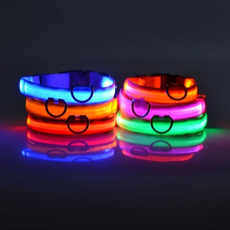 LED Safety Dog Collar — Glow in the Dark for Night Walks
