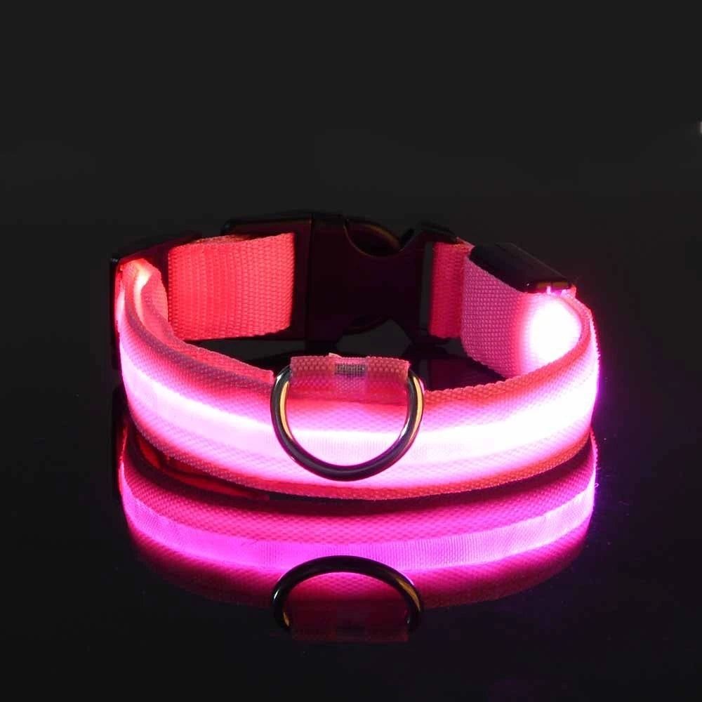 LED Safety Dog Collar — Glow in the Dark for Night Walks