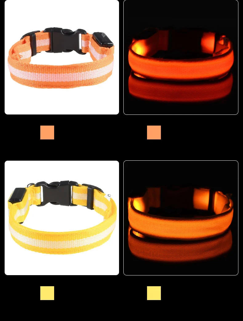 LED Safety Dog Collar — Glow in the Dark for Night Walks