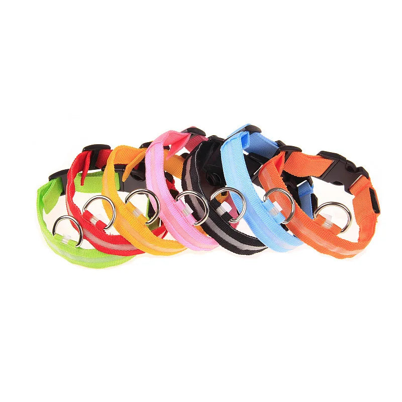 LED Safety Dog Collar — Glow in the Dark for Night Walks