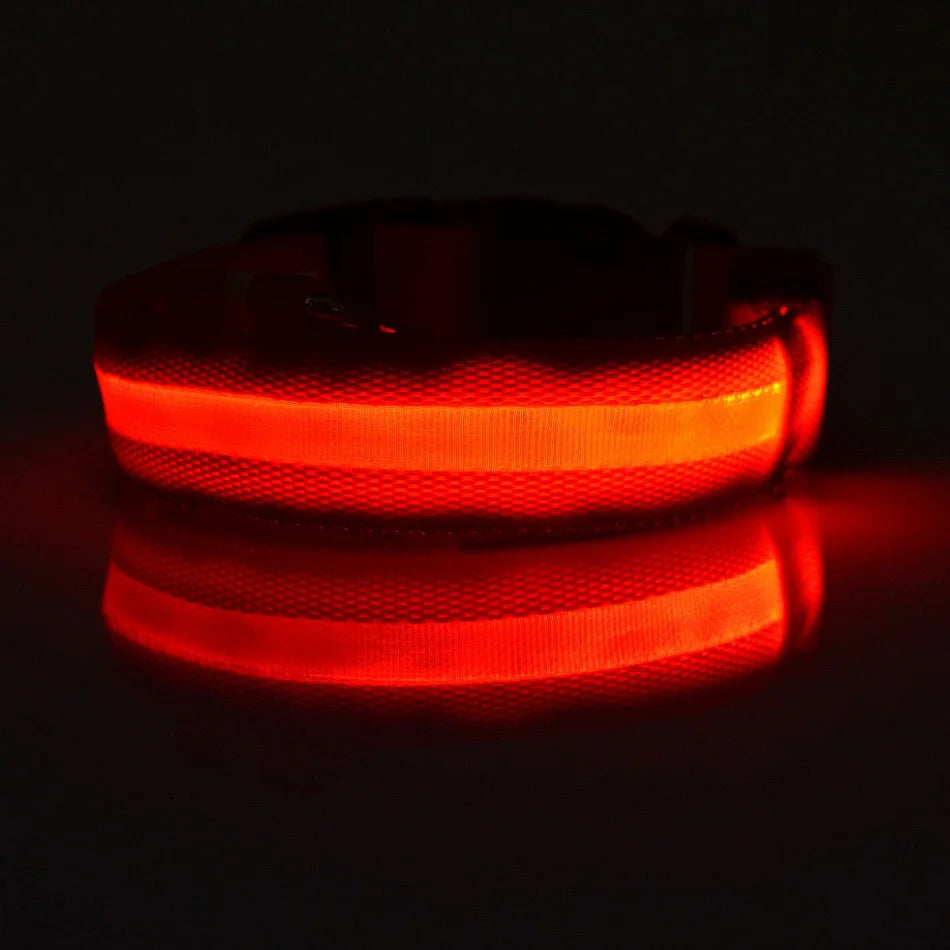 LED Safety Dog Collar — Glow in the Dark for Night Walks