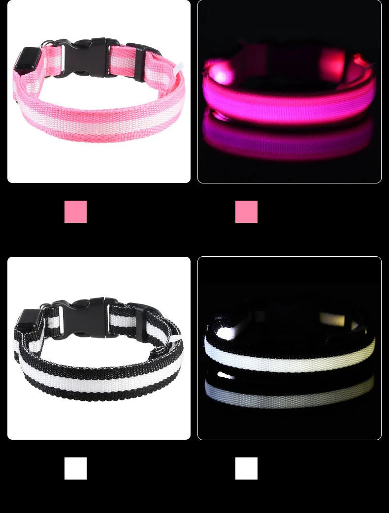 LED Safety Dog Collar — Glow in the Dark for Night Walks