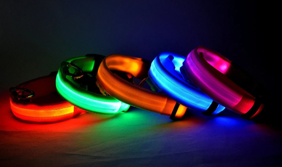 LED Safety Dog Collar — Glow in the Dark for Night Walks