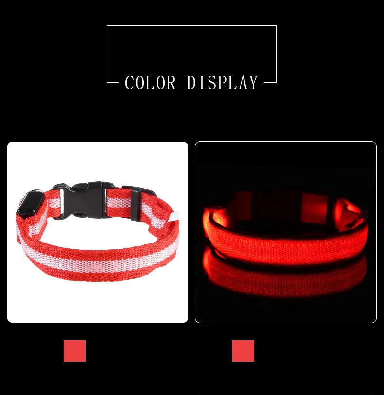 LED Safety Dog Collar — Glow in the Dark for Night Walks