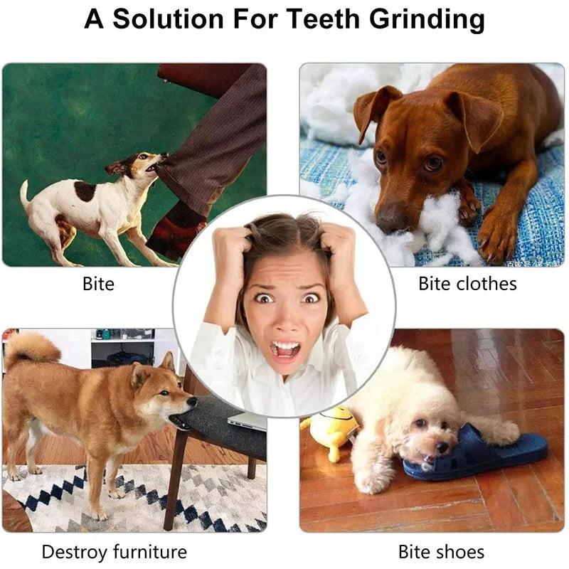 Interactive Treat Ball — Nontoxic Chew Toy for Dogs & Puppies